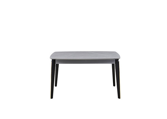 De rechthoekige Modieuze Moderne Eettafel van de Dichtheidsraad